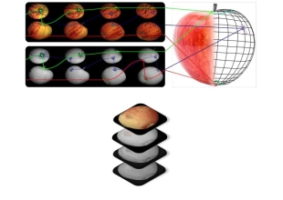 GEOSORT - Detecção